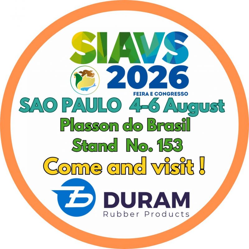 brasil 020826