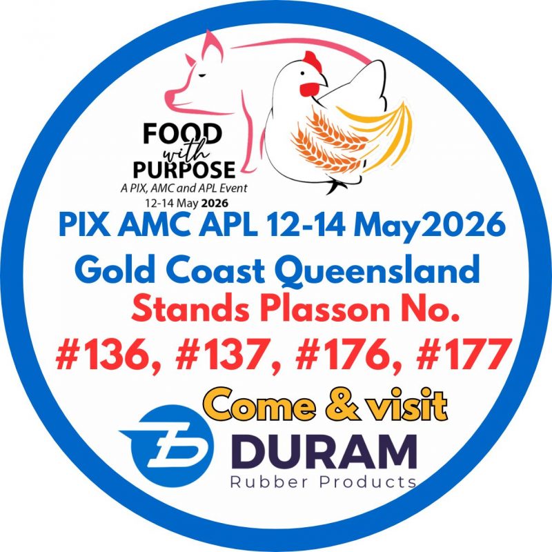 queensland 26